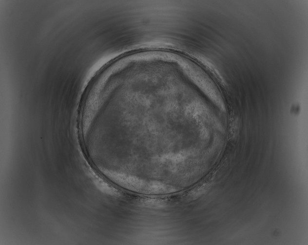 X0000090951086200708241122