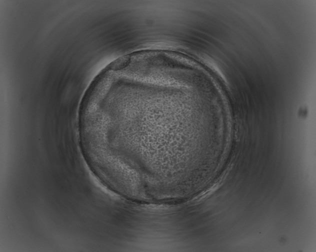 X0000090951087200708241122