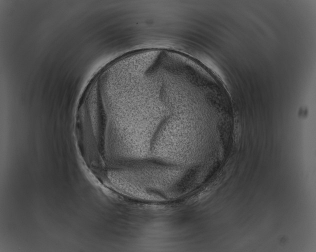 X0000090951088200708241122