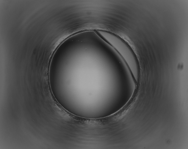 X0000090951089200708241122