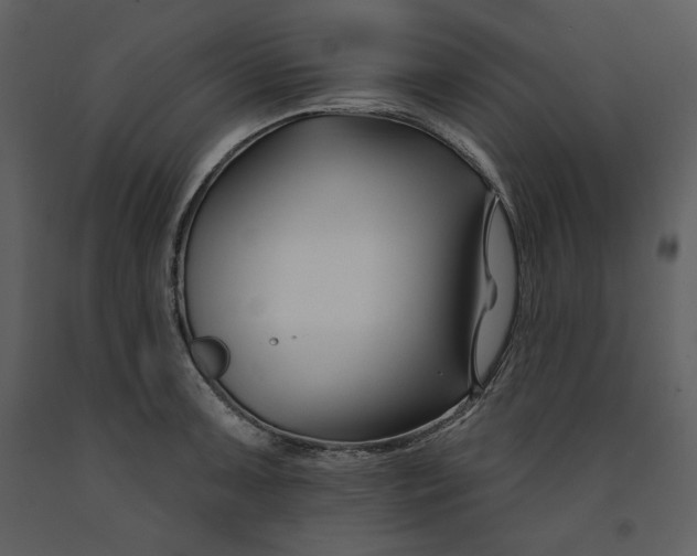 X0000090951091200708241122