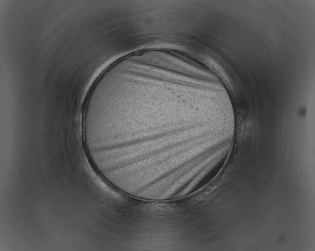 X0000090951092200708241122