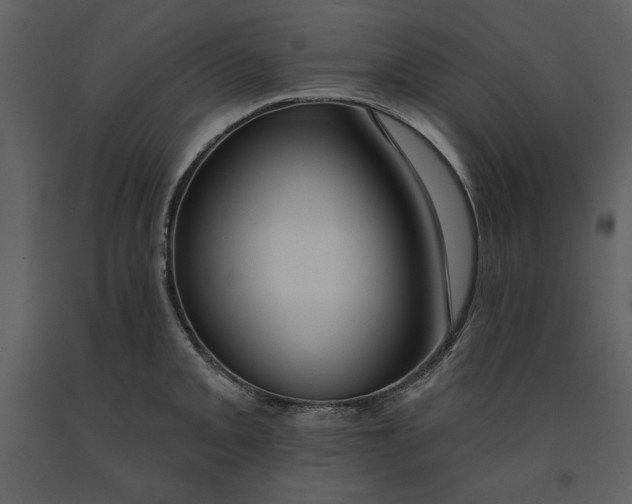 X0000090951093200708241122