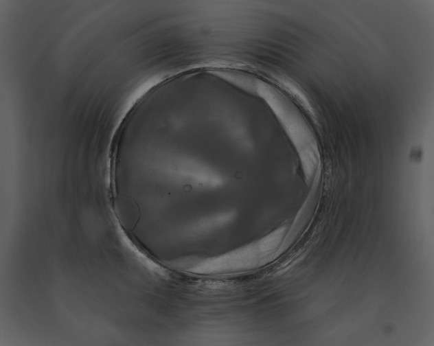 X0000090951095200708241122
