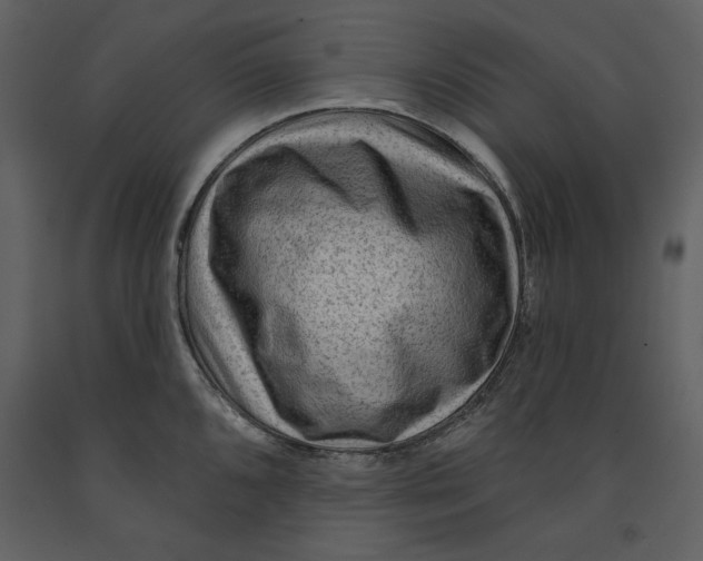 X0000090951096200708241122