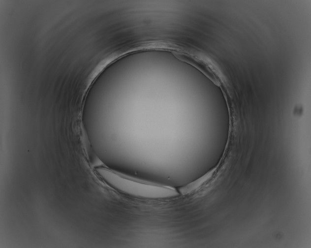 X0000090951097200708241122