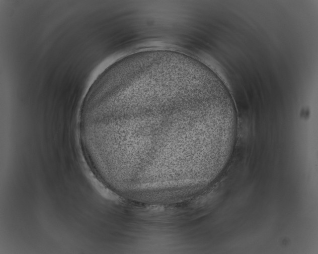 X0000090951098200708241122