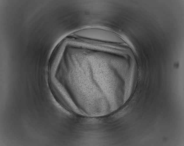 X0000090951100200708241122