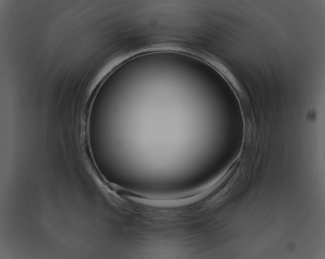 X0000090951101200708241122