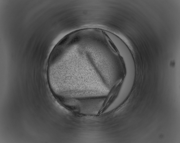 X0000090951102200708241122
