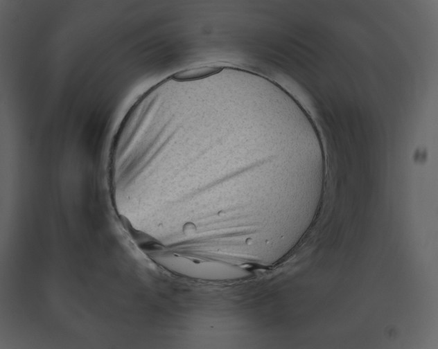 X0000090951104200708241122