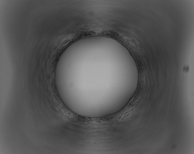X0000090951105200708241121