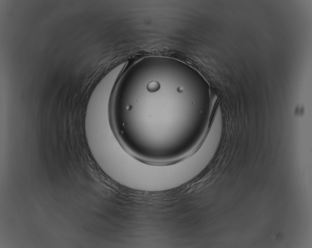 X0000090951106200708241121