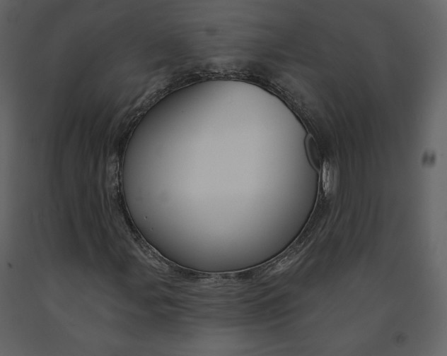 X0000090951107200708241121