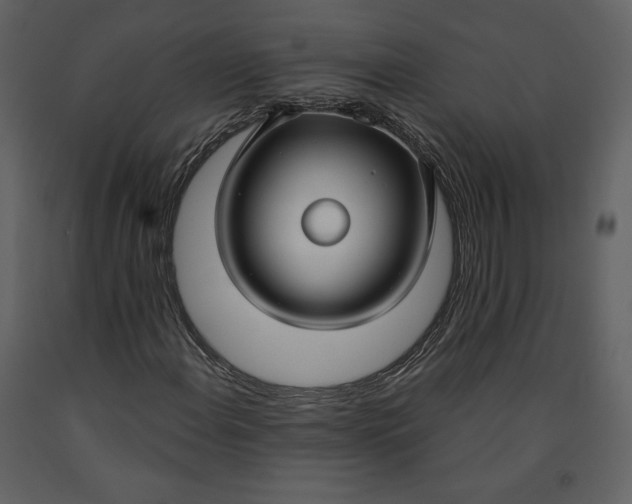 X0000090951108200708241121