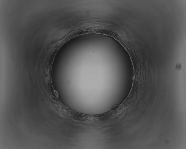 X0000090951109200708241121
