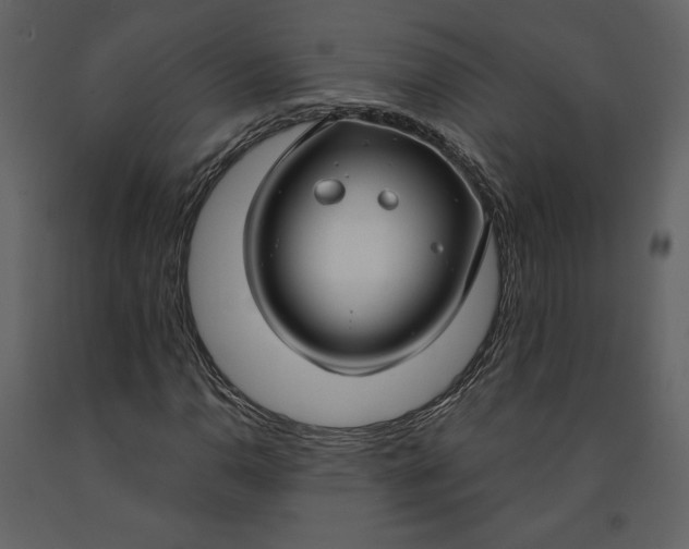 X0000090951110200708241121