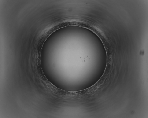 X0000090951111200708241121