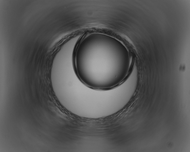 X0000090951112200708241122