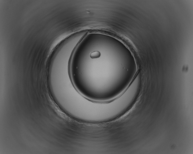 X0000090951114200708241122