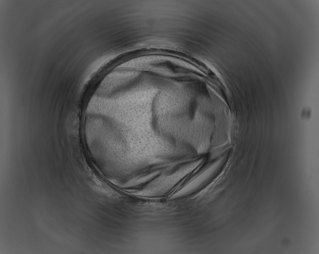 X0000090951115200708241122