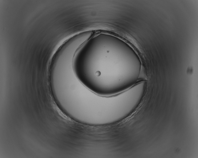 X0000090951116200708241122