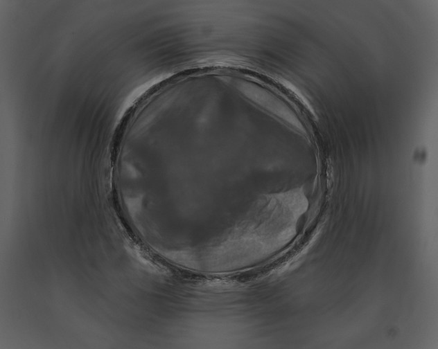 X0000090951117200708241122