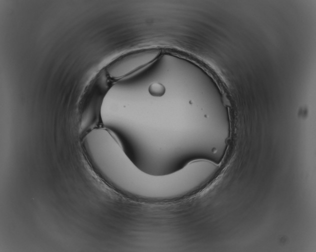 X0000090951118200708241122