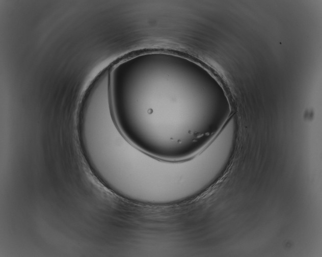 X0000090951120200708241122