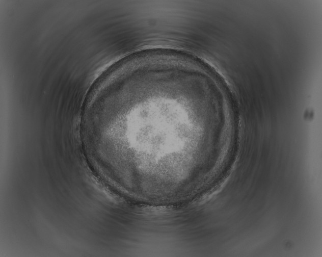 X0000090951121200708241122