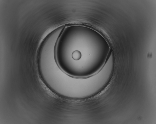 X0000090951122200708241122