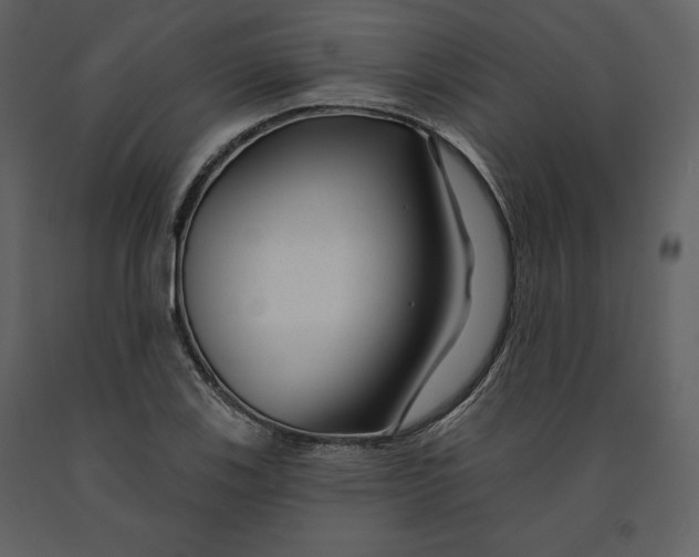 X0000090951123200708241122