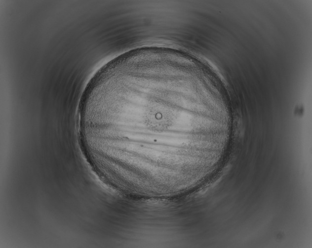 X0000090951125200708241122