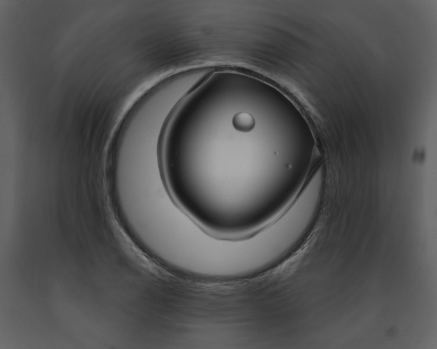 X0000090951126200708241122