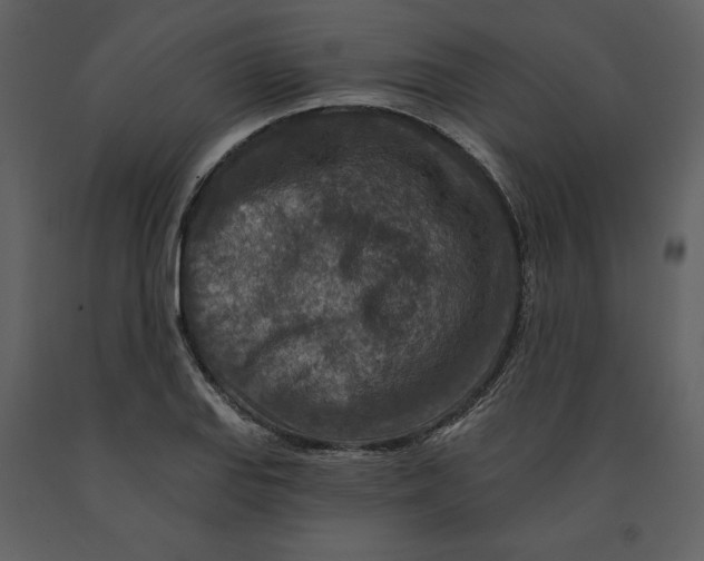 X0000090951127200708241122
