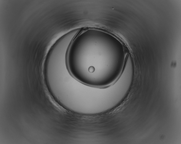 X0000090951128200708241122