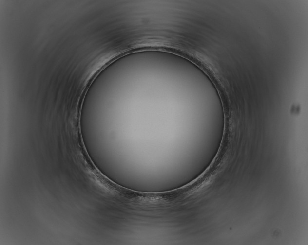 X0000090951129200708241122