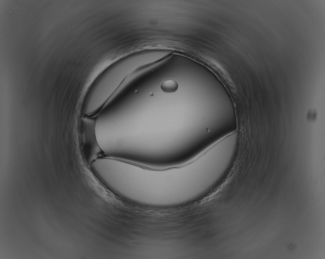 X0000090951130200708241122