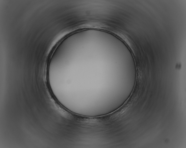 X0000090951131200708241122