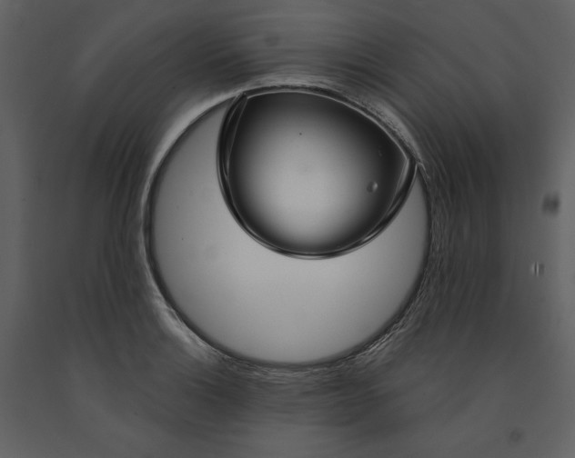 X0000090951132200708241122