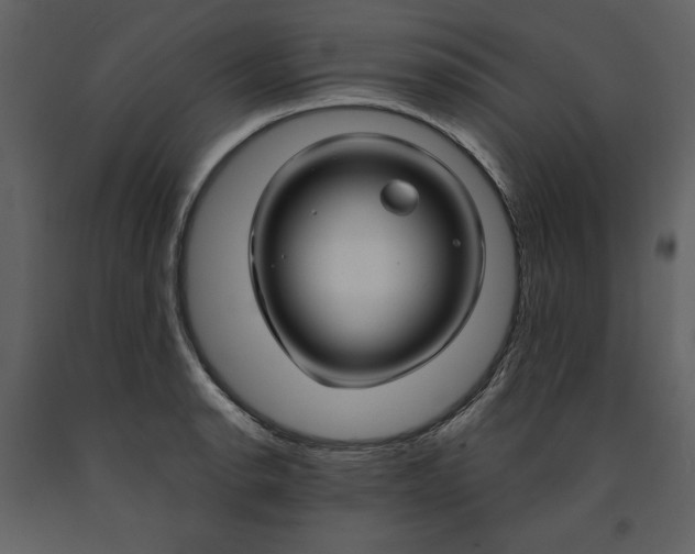 X0000090951134200708241122