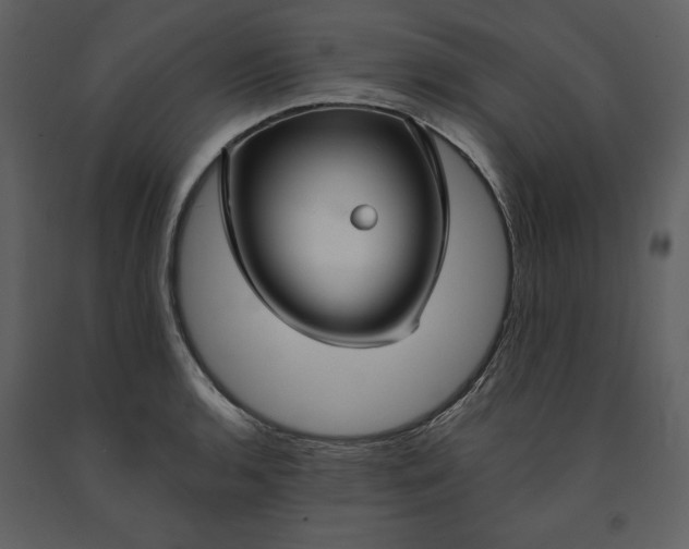 X0000090951136200708241122