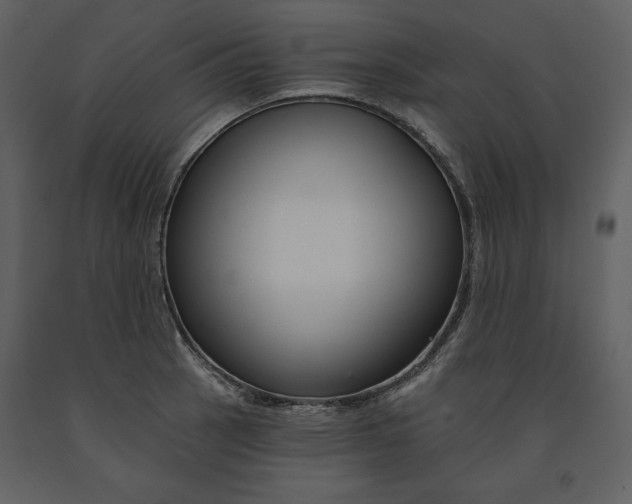 X0000090951137200708241122