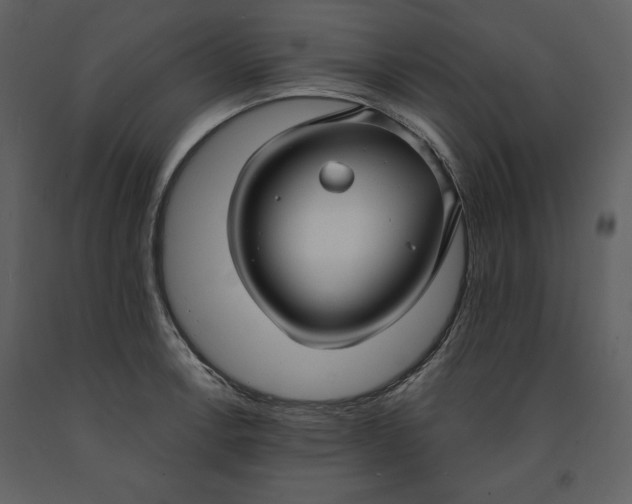 X0000090951138200708241122