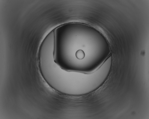 X0000090951140200708241122