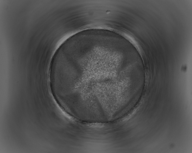 X0000090951141200708241122