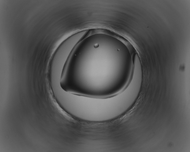 X0000090951142200708241122