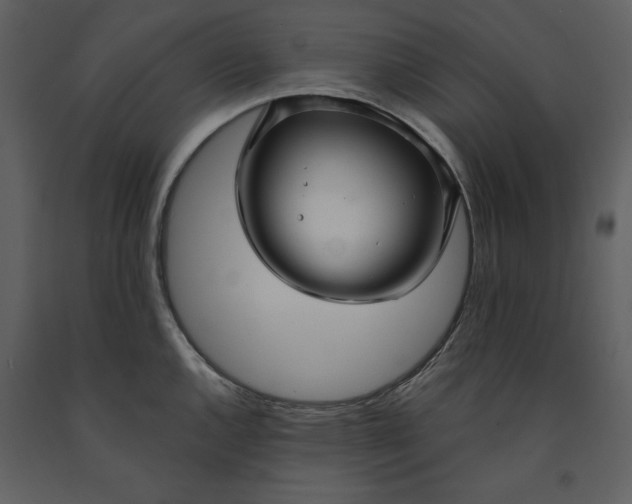 X0000090951144200708241122