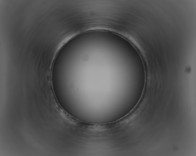 X0000090951145200708241122