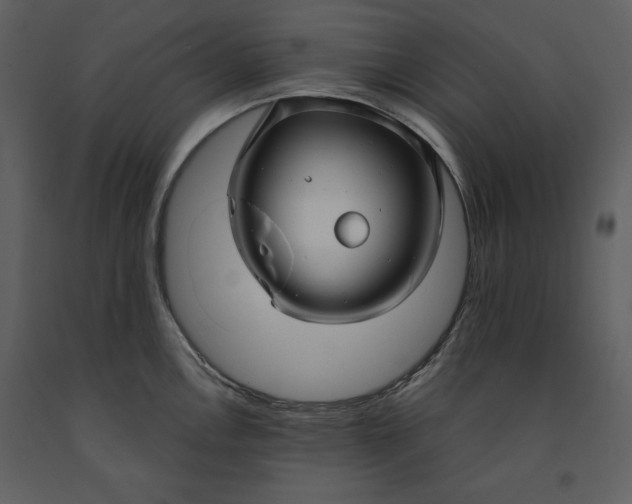 X0000090951146200708241122